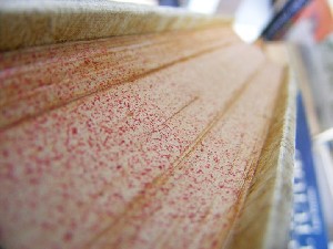 biblioteca 130 copy.jpg